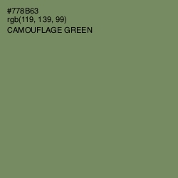 #778B63 - Camouflage Green Color Image